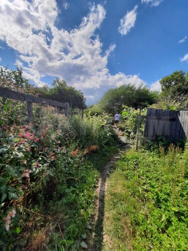 Фото из объявления