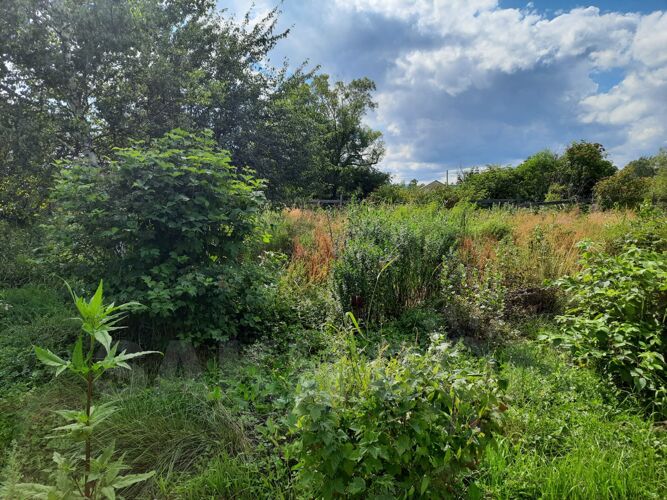 Фото из объявления