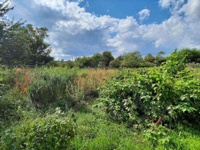 Фото из объявления