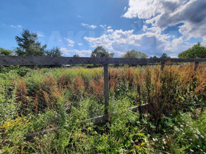 Фото из объявления