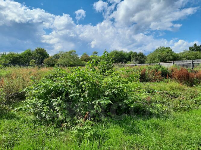 Фото из объявления