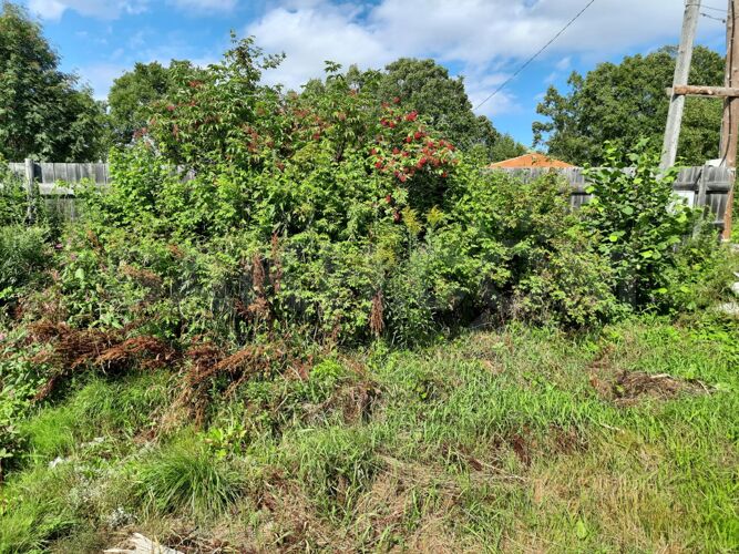 Фото из объявления