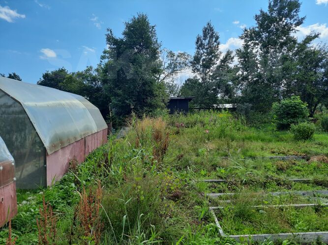 Фото из объявления