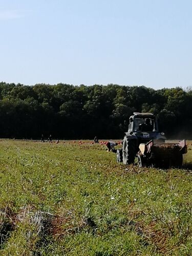 Фото из объявления