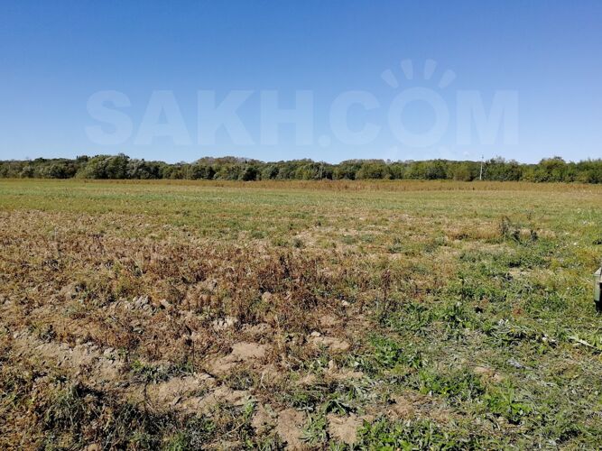 Фото из объявления