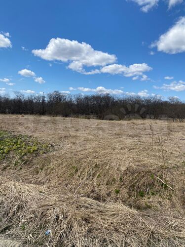 Фото из объявления