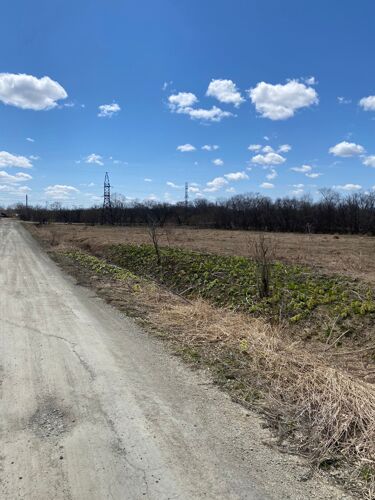 Фото из объявления