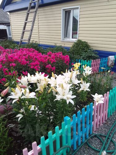 Фото из объявления