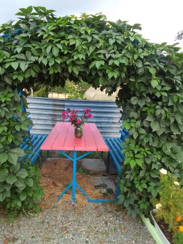 Фото из объявления