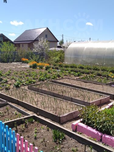 Фото из объявления