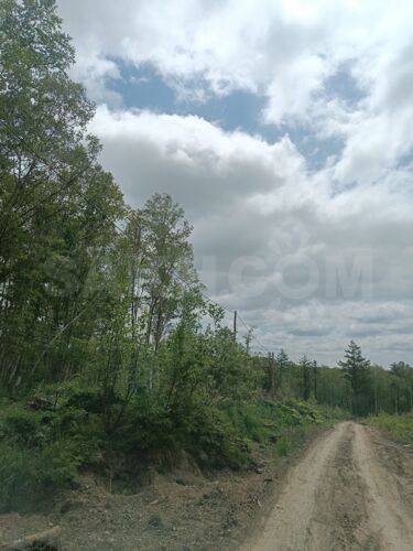 Фото из объявления