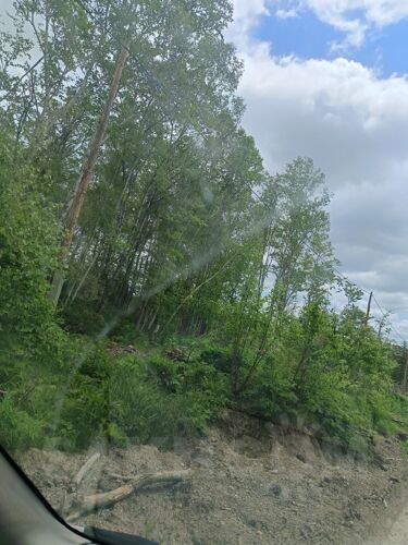 Фото из объявления