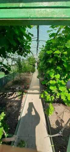 Фото из объявления