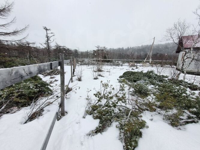 Фото из объявления