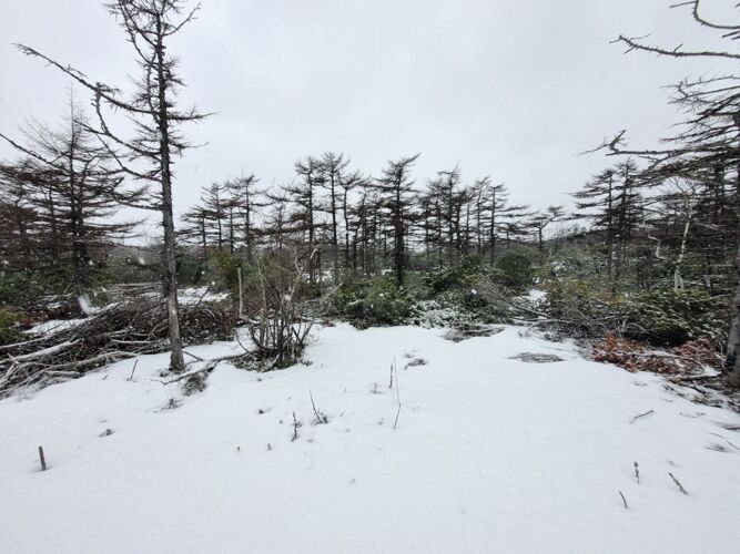 Фото из объявления