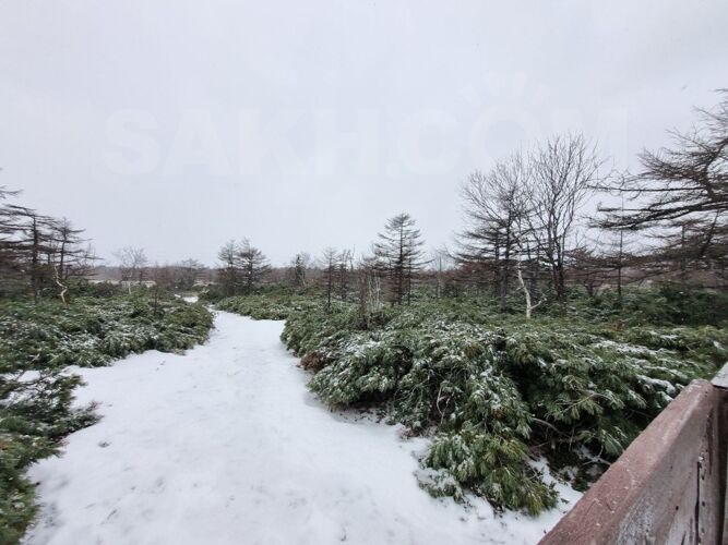 Фото из объявления