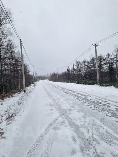 Фото из объявления