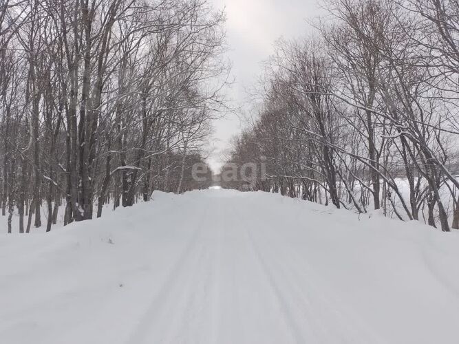 Фото из объявления