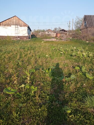 Фото из объявления