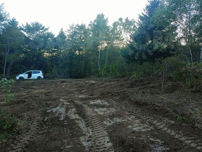 Фото из объявления