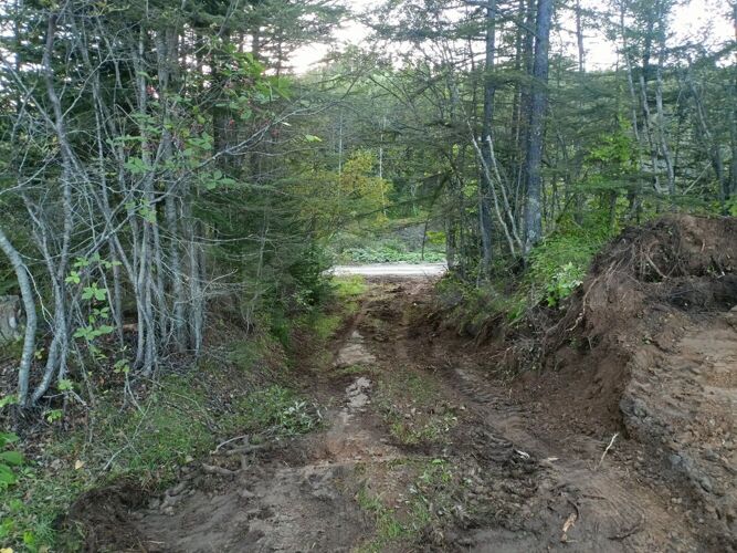 Фото из объявления