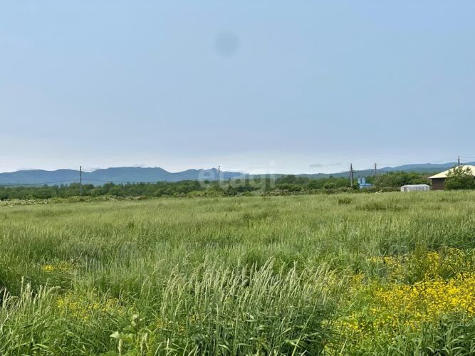 Фото из объявления