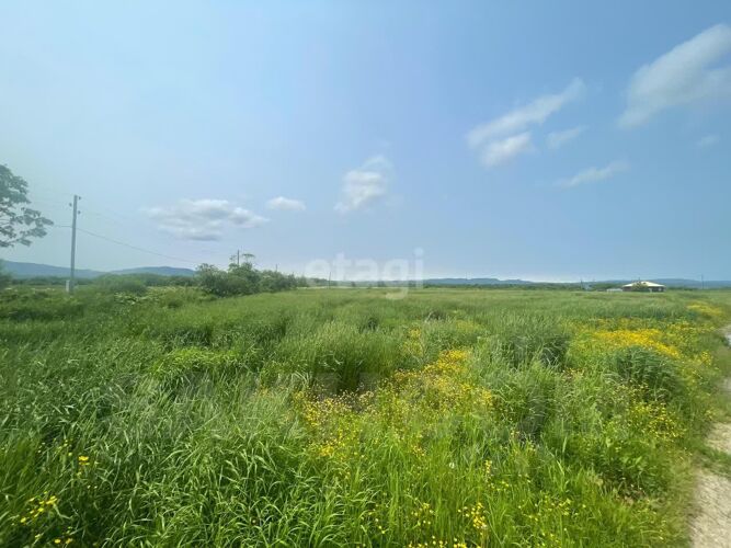 Фото из объявления