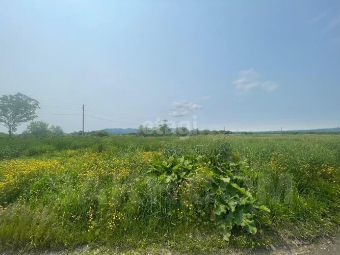 Фото из объявления