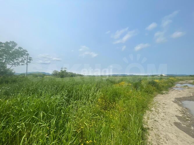 Фото из объявления