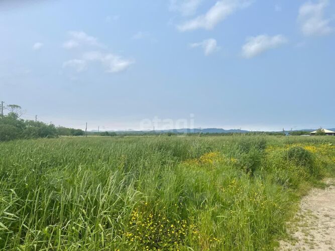 Фото из объявления