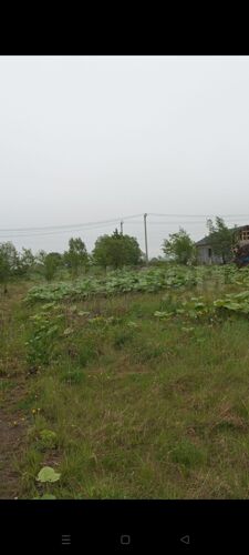 Фото из объявления