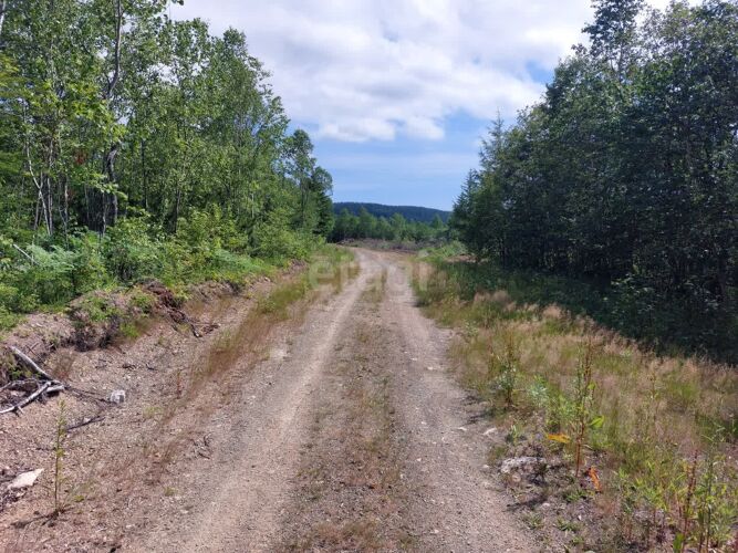 Фото из объявления