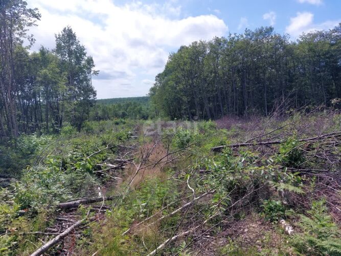 Фото из объявления