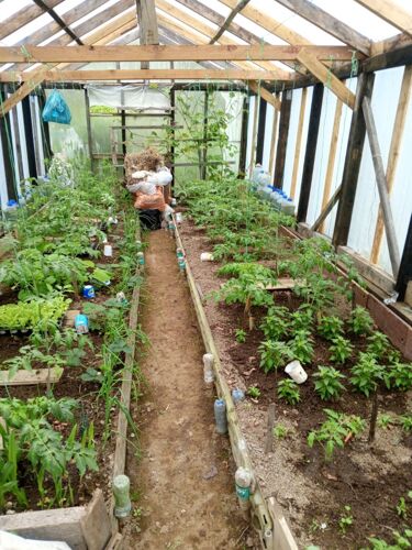 Фото из объявления