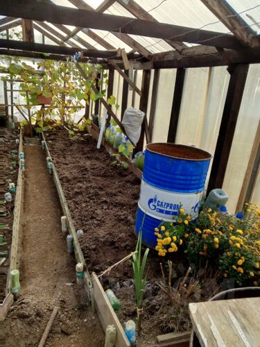 Фото из объявления