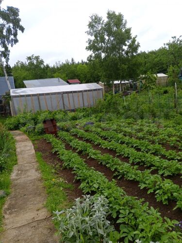 Фото из объявления