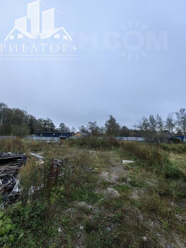 Фото из объявления