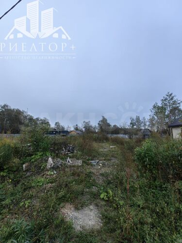 Фото из объявления