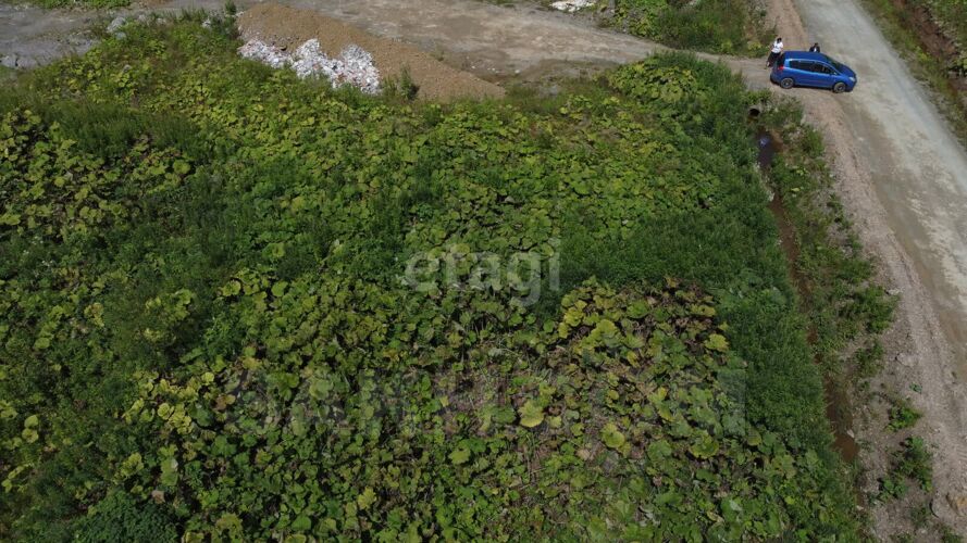 Фото из объявления