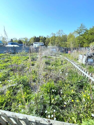 Фото из объявления