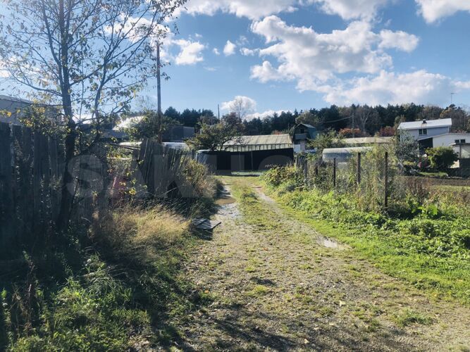 Фото из объявления