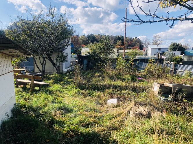 Фото из объявления