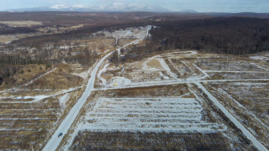 Фото из объявления