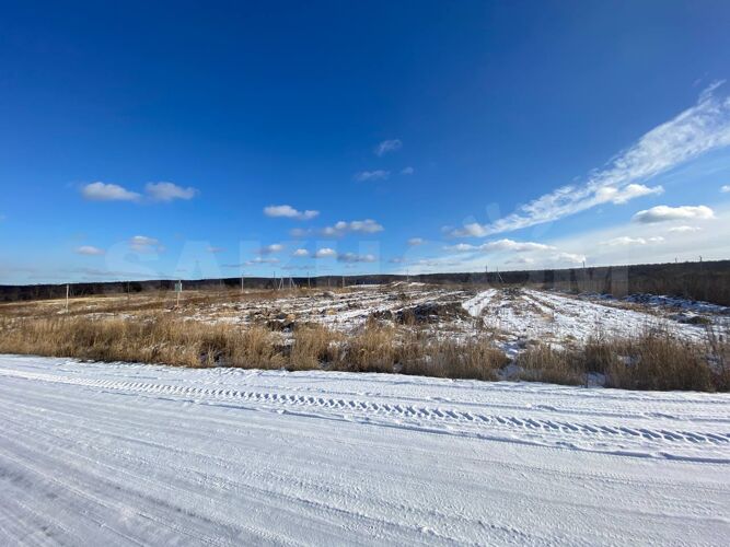 Фото из объявления