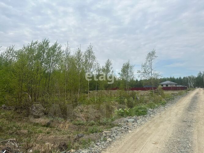 Фото из объявления