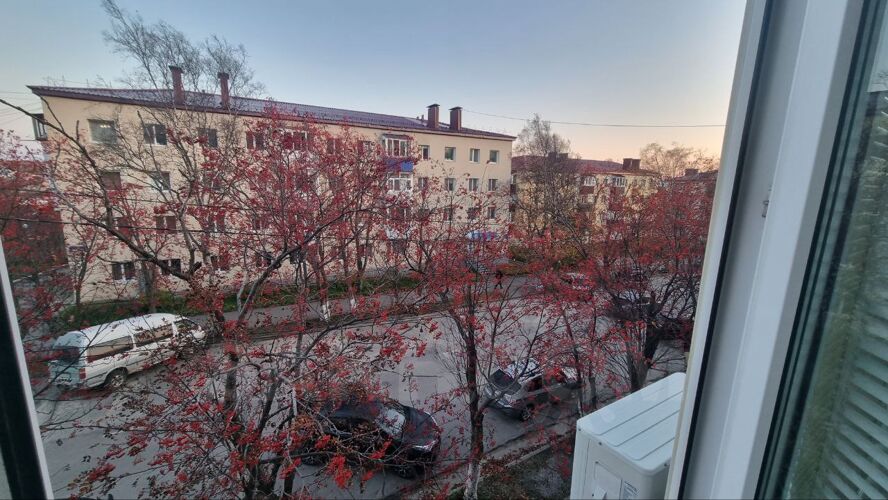 Фото из объявления