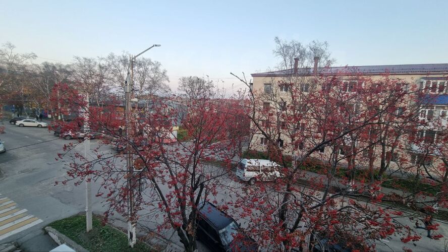 Фото из объявления