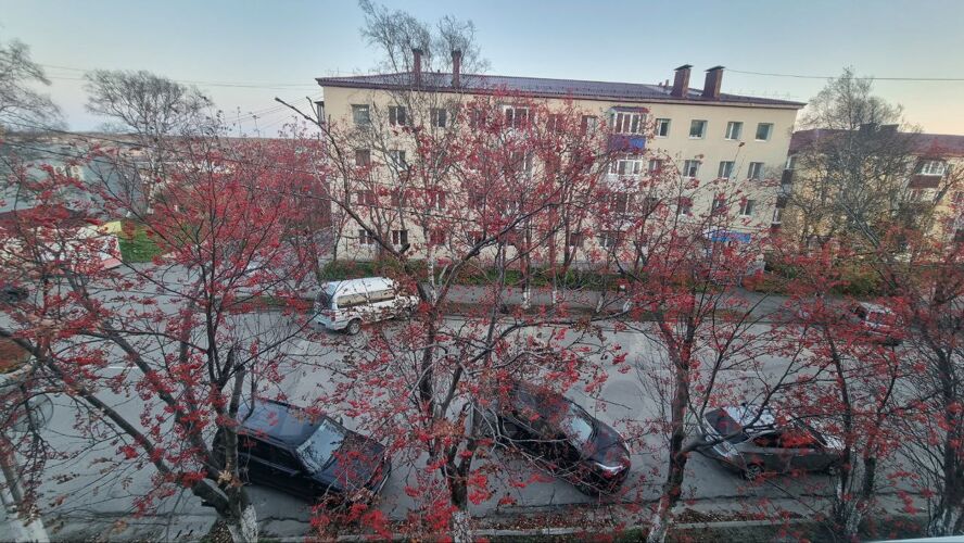 Фото из объявления