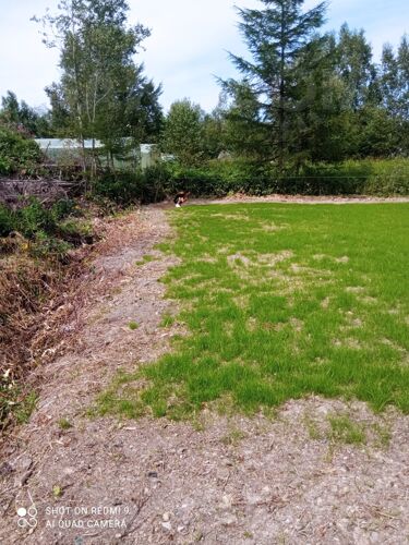 Фото из объявления