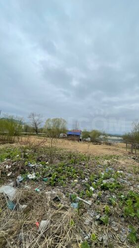 Фото из объявления